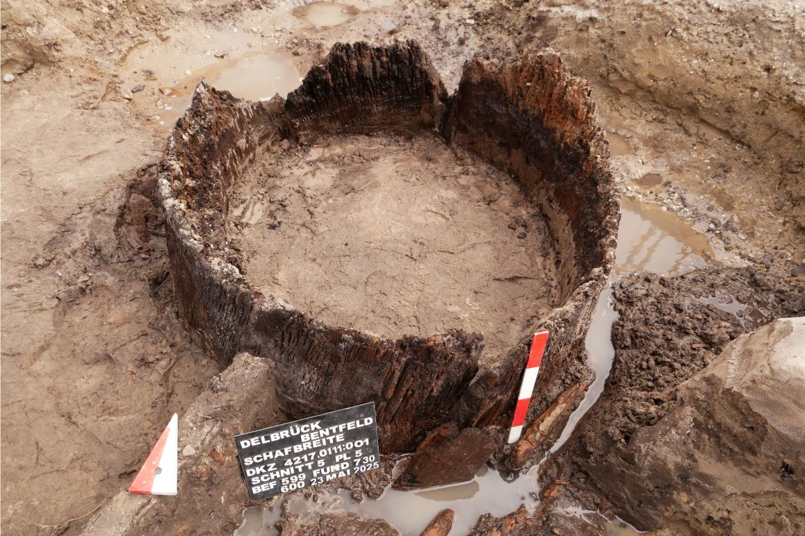 Brunnenkranz: Foto: EggensteinExca/Sven Knippschild